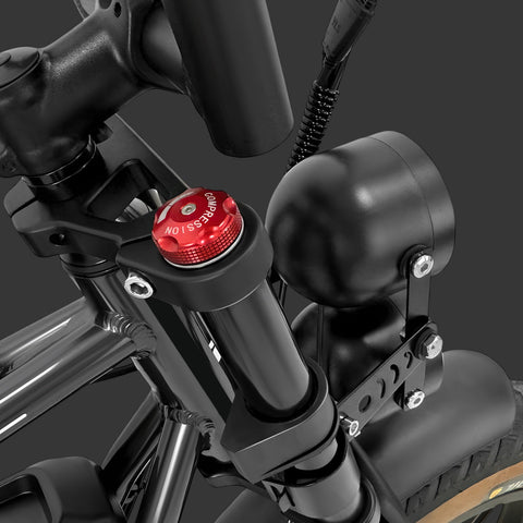 Bicicleta Eléctrica PVY X20 IT  - Motor 250W Batería 48V15AH*2 Ruedas de 20 Pulgadas Freno de Disco Hidráulico - Negro