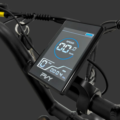 Bicicleta Eléctrica PVY X20 IT  - Motor 250W Batería 48V15AH*2 Ruedas de 20 Pulgadas Freno de Disco Hidráulico - Negro