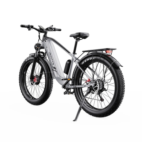 Duotts F26 Bicicleta Eléctrica - 2*750W Motor Batería 48V 20Ah Tres Modos No plegable - Plateado y blanco