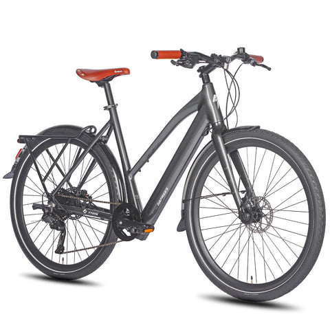 FAFREES F700W E-bike - Motor 250W Batería 36V10AH Con Frenos Hidráulicos – Negro