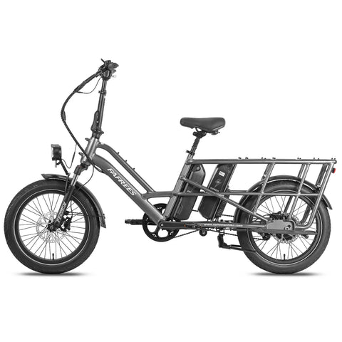 FAFREES FF20 CUV Bicicleta Eléctrica - Motor 250W Batería 48V24Ah 20 Pulgadas Neumáticos Frenos Disco Hidráulicos - Gris Metalizado