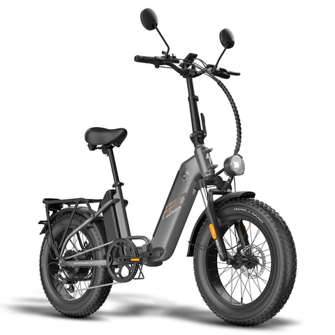 FAFREES FF20 Polar E-bike - Motor 500W 48V 2x13.4AH Batería Neumáticos De 20 Pulgadas Frenos Mecánicos - Negro