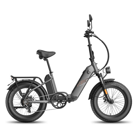 FAFREES FF20 Polar E-bike - Motor 500W 48V 2x13.4AH Batería Neumáticos De 20 Pulgadas Frenos Mecánicos - Negro