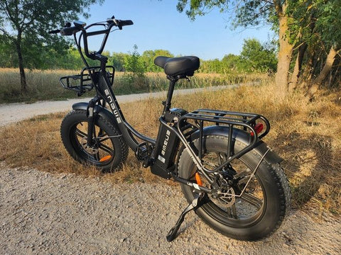 ENGWE L20 E-Bike - Bicicletas Eléctricas, 250W, Autonomía 60KM