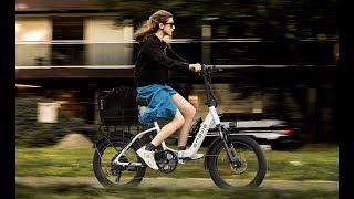 ENGWE L20 E-Bike - Bicicletas Eléctricas, 250W, Autonomía 60KM
