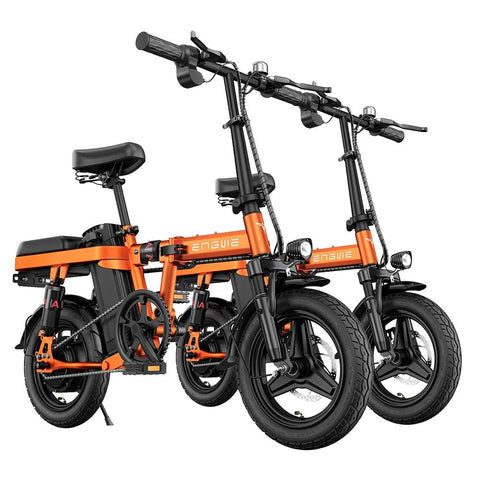 ENGWE T14 EU E-Bike - Bicicletas Eléctricas, 250W, Autonomía 45KM