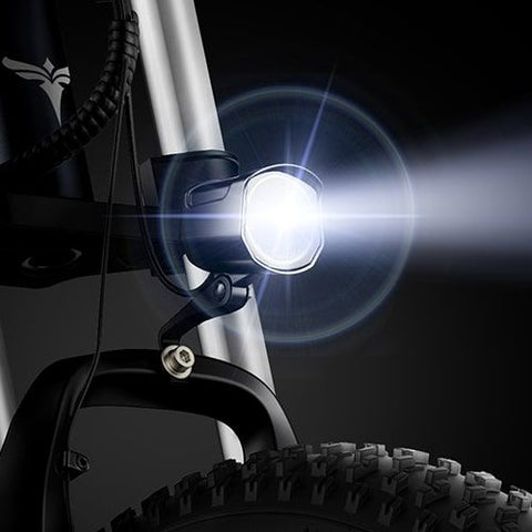 ENGWE X20 E-Bike - Bicicletas Eléctricas, 750W, Autonomía 70KM