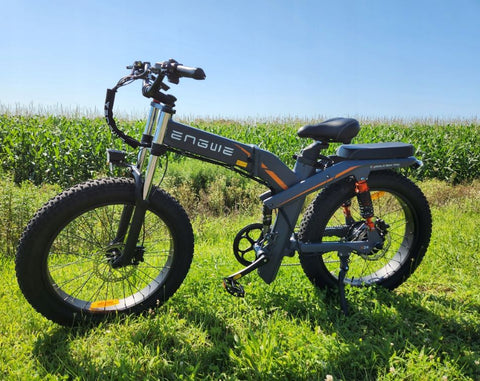 ENGWE X24 E-Bike - Bicicletas Eléctricas, 1000W, Autonomía 100KM