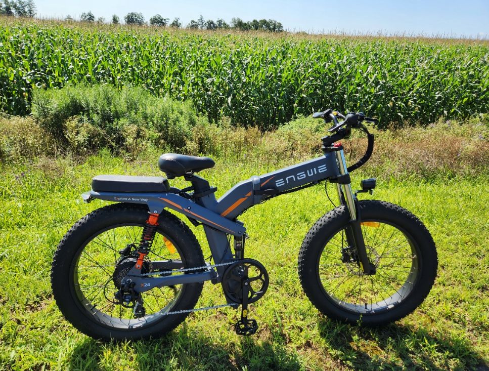 ENGWE X24 E-Bike - Bicicletas Eléctricas, 1000W, Autonomía 100KM