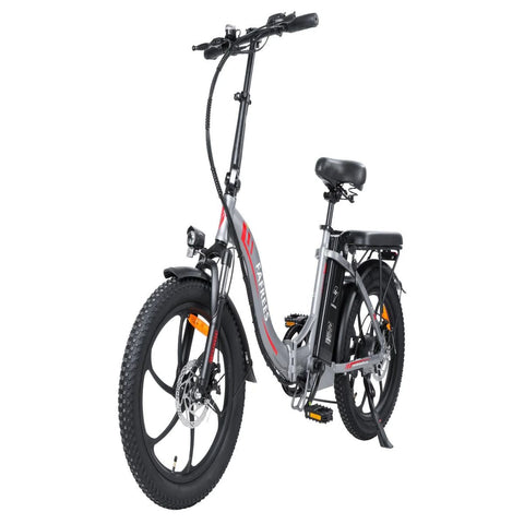 Bicicleta Eléctrica FAFREES F20 - Potencia 250W Batería 576WH 70KM Autonomía - Gris
