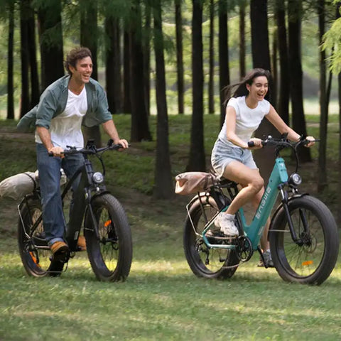 Bicicleta Eléctrica ENGWE E26 - 250W 768WH 140KM Autonomía - Gris