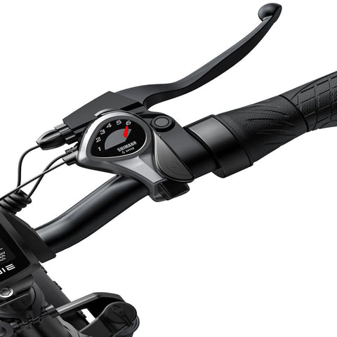 Bicicleta Eléctrica ENGWE EP-2 PRO | 250W Batería 624WH Alcance 40KM | Naranja