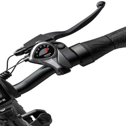 Bicicleta Eléctrica ENGWE EP-2 PRO | 250W Batería 624WH Autonomía 40KM | Gris