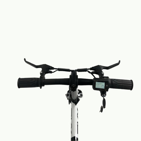 Bicicleta Eléctrica PVY S2 - Motor 250W Batería 36V7.5AH Autonomía 60KM Freno de Disco Mecánico - Blanco y negro