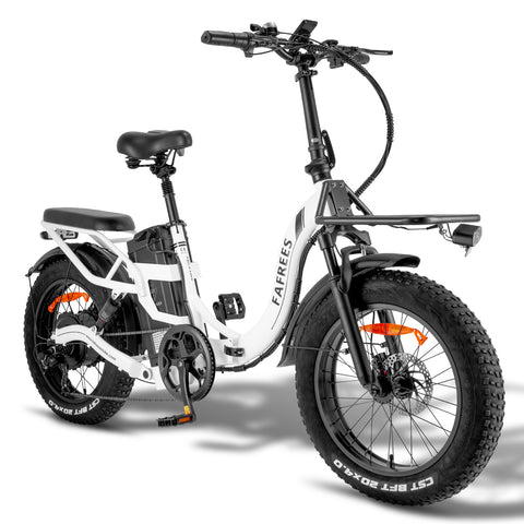 FAFREES F20 X-MAX Bicicleta Eléctrica - Motor 750W Batería 48V30AH Autonomía 180KM - Blanco