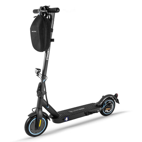 Patinete Eléctrico Honey Whale E9 Con Certificación ABE - Motor 330W Batería 36V7.5AH Autonomía 25KM Frenos de Disco - Negro