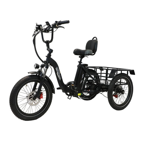 Bicicleta Eléctrica de Tres Ruedas ONESPORT OT30 - Motor 500W Batería 48V13AH Neumáticos de 20 pulgadas Frenos de Disco Hidráulicos - Negro