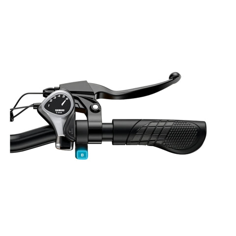 ENGWE EP-2 BOOST E-bike - Motor 250W Batería 48V13AH Neumáticos De 20 Pulgadas Frenos De Disco Hidráulico - Negra