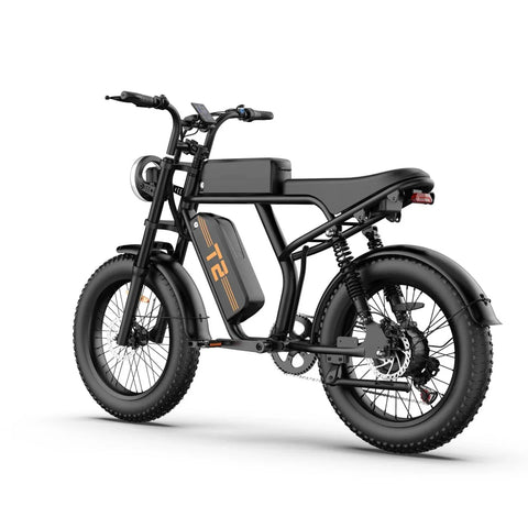 Bicicleta Eléctrica URLIFE T2  - Motor 250W Batería 48V 15.6Ah Pedal Asistido Modo de asistencia al pedaleo - Negro