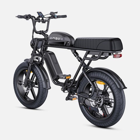 Bicicleta Eléctrica ENGWE M1 EU - Potencia - 250W Batería 48V28.6AH Neumáticos de 20 Pulgadas Frenos de Disco Hidráulicos - Negro