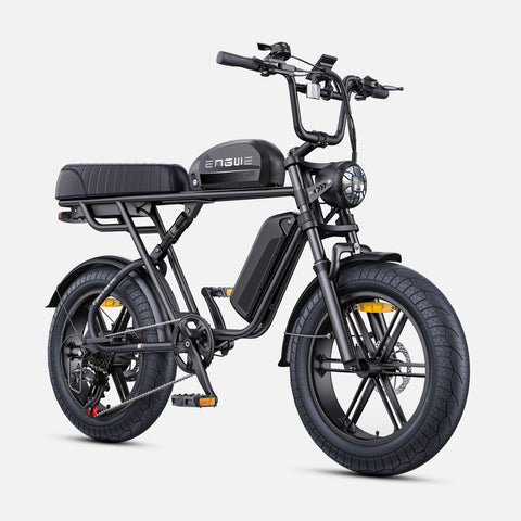 Bicicleta Eléctrica ENGWE M1 EU - Potencia - 250W Batería 48V28.6AH Neumáticos de 20 Pulgadas Frenos de Disco Hidráulicos - Negro