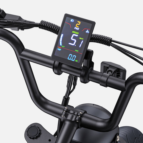 Bicicleta Eléctrica ENGWE M1 EU - Potencia - 250W Batería 48V28.6AH Neumáticos de 20 Pulgadas Frenos de Disco Hidráulicos - Negro
